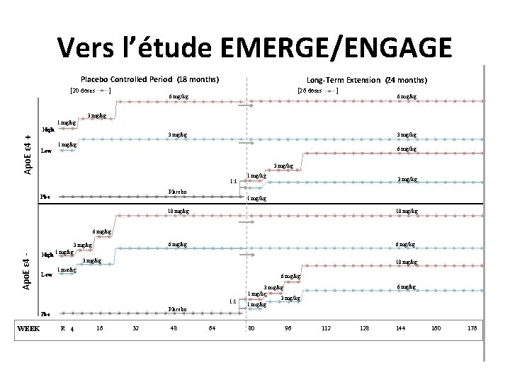 Vers l’étude EMERGE/ENGAGE Placebo Controlled Period (18 months) [20 doses ] Long-Term Extension (24