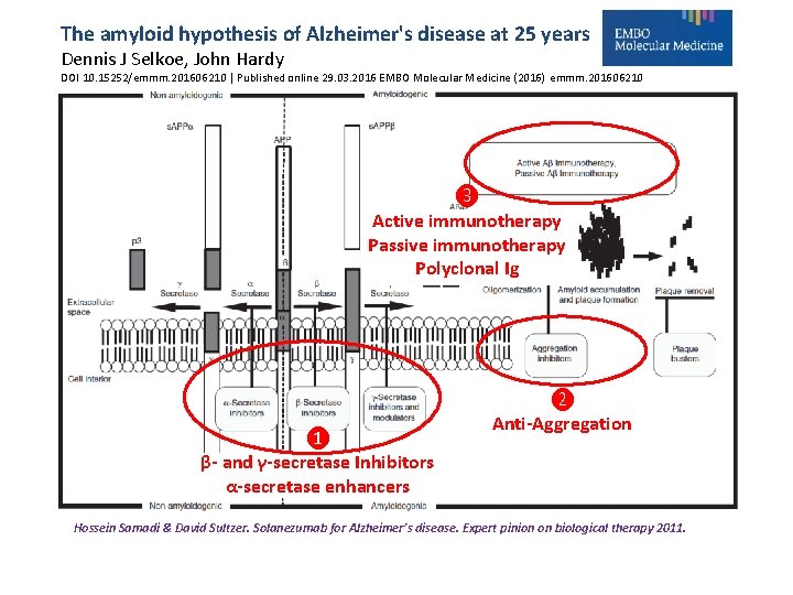 The amyloid hypothesis of Alzheimer's disease at 25 years Dennis J Selkoe, John Hardy