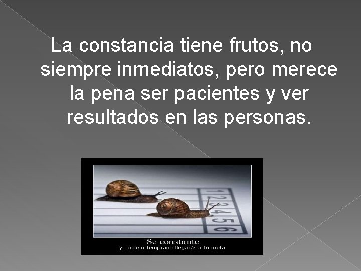 La constancia tiene frutos, no siempre inmediatos, pero merece la pena ser pacientes y La constancia tiene frutos, no siempre inmediatos, pero merece la pena ser pacientes y