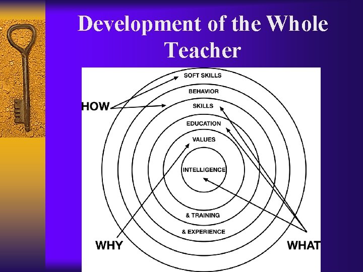 Development of the Whole Teacher 