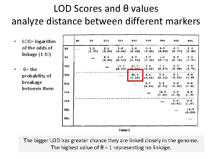 LOD Scores and θ values analyze distance between different markers • LOD= logarithm of