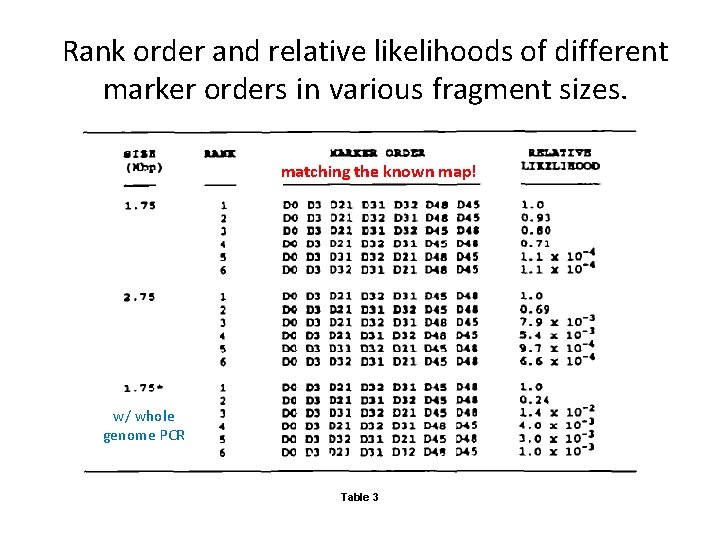 Rank order and relative likelihoods of different marker orders in various fragment sizes. matching