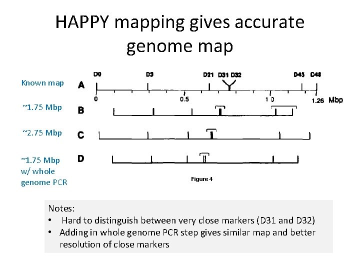 HAPPY mapping gives accurate genome map Known map ~1. 75 Mbp ~2. 75 Mbp