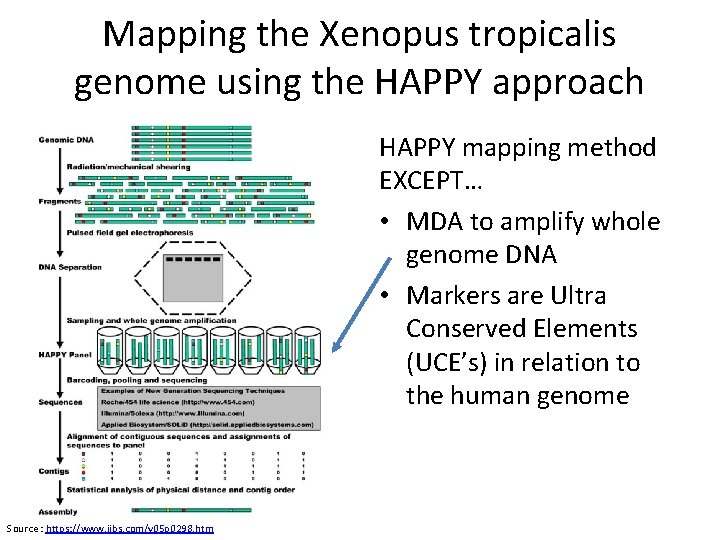 Mapping the Xenopus tropicalis genome using the HAPPY approach HAPPY mapping method EXCEPT… •