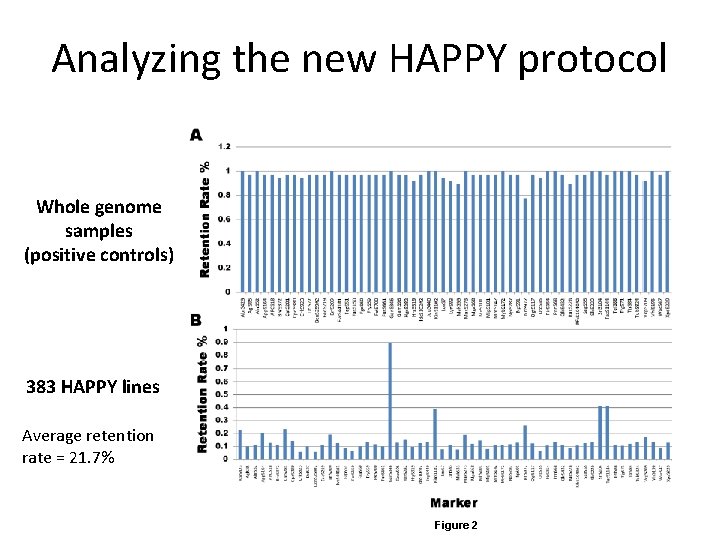 Analyzing the new HAPPY protocol Whole genome samples (positive controls) 383 HAPPY lines Average