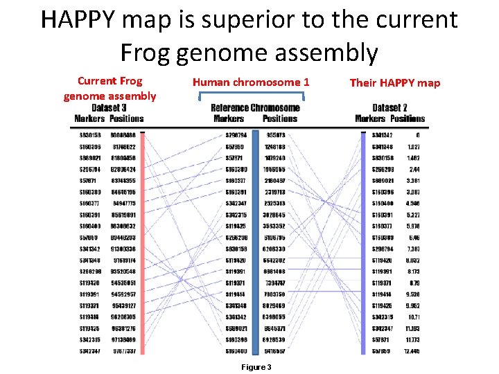HAPPY map is superior to the current Frog genome assembly Current Frog genome assembly