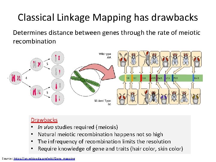 Classical Linkage Mapping has drawbacks Determines distance between genes through the rate of meiotic