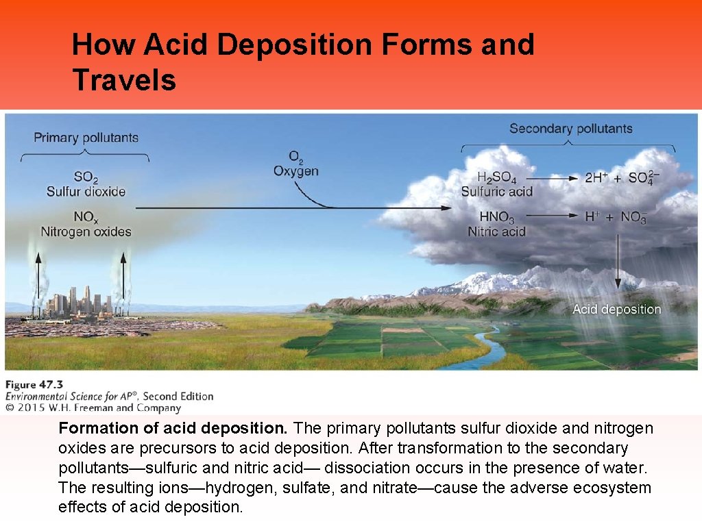 How Acid Deposition Forms and Travels Formation of acid deposition. The primary pollutants sulfur