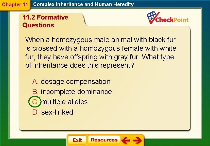 Chapter 11 Complex Inheritance and Human Heredity 11. 2 Formative Questions When a homozygous