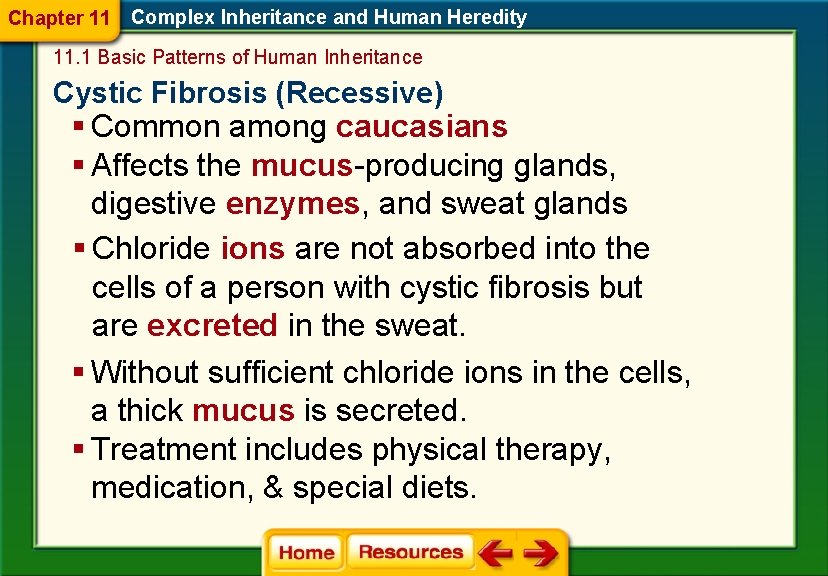 Chapter 11 Complex Inheritance and Human Heredity 11. 1 Basic Patterns of Human Inheritance