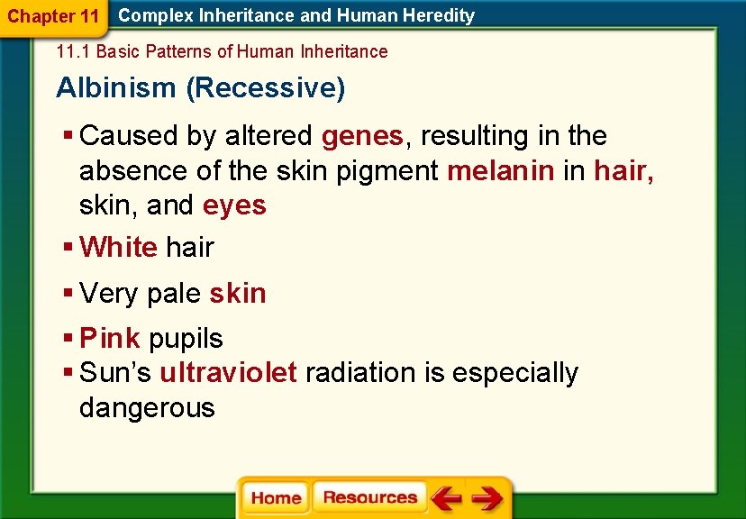 Chapter 11 Complex Inheritance and Human Heredity 11. 1 Basic Patterns of Human Inheritance