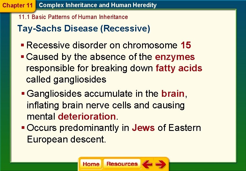 Chapter 11 Complex Inheritance and Human Heredity 11. 1 Basic Patterns of Human Inheritance