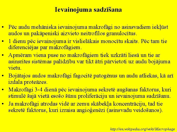 Ievainojuma sadzīšana • Pēc audu mehāniska ievainojuma makrofāgi no asinsvadiem iekļūst audos un pakāpeniski