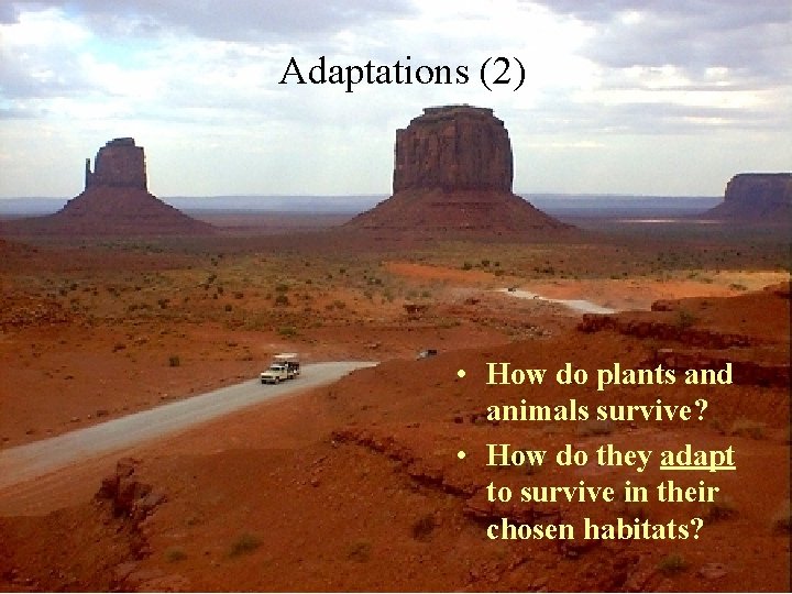 Adaptations (2) • How do plants and animals survive? • How do they adapt