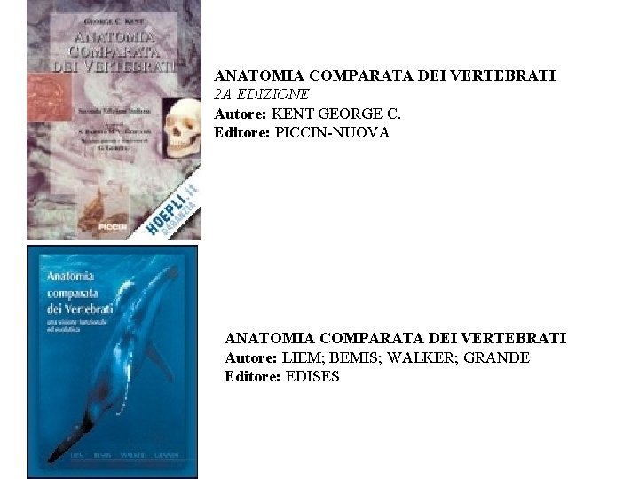 ANATOMIA COMPARATA DEI VERTEBRATI 2 A EDIZIONE Autore: KENT GEORGE C. Editore: PICCIN-NUOVA ANATOMIA