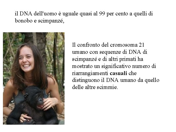 il DNA dell'uomo è uguale quasi al 99 per cento a quelli di bonobo