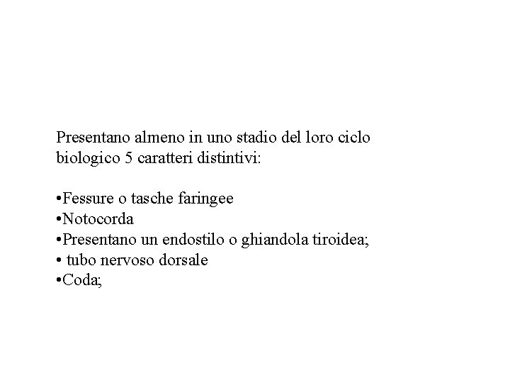 Presentano almeno in uno stadio del loro ciclo biologico 5 caratteri distintivi: • Fessure