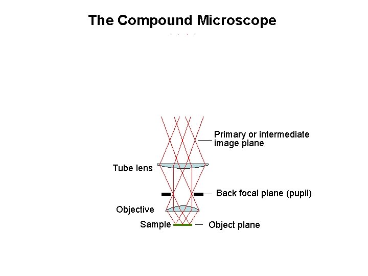 The Compound Microscope Exit pupil Eyepiece Primary or intermediate image plane Tube lens Back