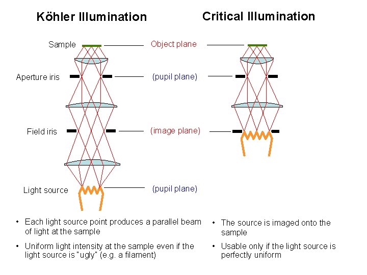 Critical Illumination Köhler Illumination Sample Aperture iris Field iris Light source Object plane (pupil