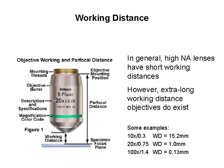 Working Distance In general, high NA lenses have short working distances However, extra-long working