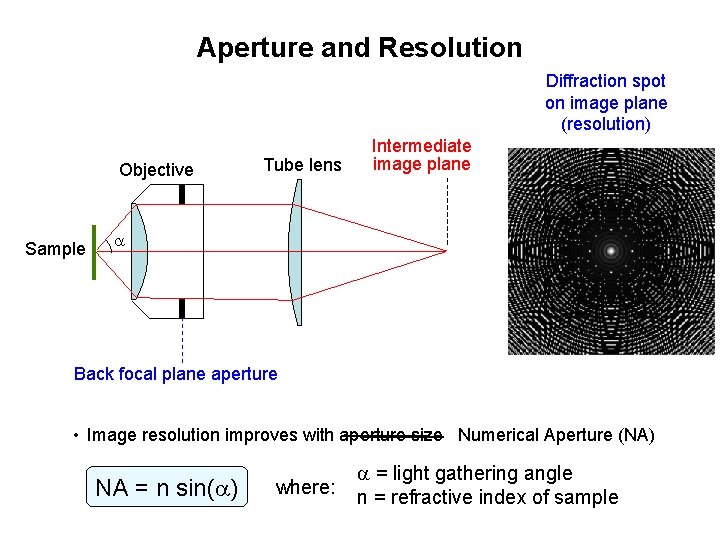 Aperture and Resolution Diffraction spot on image plane (resolution) Objective Sample Tube lens Intermediate