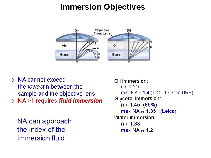 Immersion Objectives NA cannot exceed the lowest n between the sample and the objective