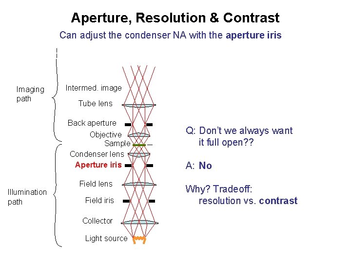 Aperture, Resolution & Contrast Can adjust the condenser NA with the aperture iris Imaging