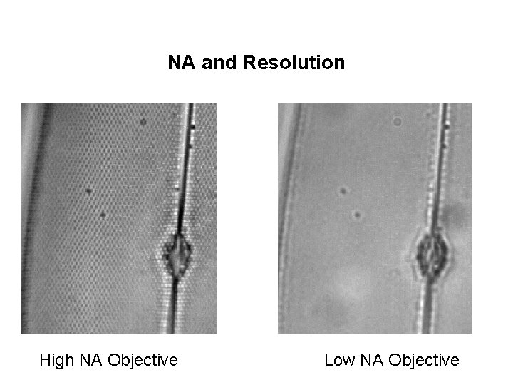 NA and Resolution High NA Objective Low NA Objective 