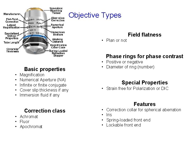 Objective Types Field flatness • Plan or not Phase rings for phase contrast Basic