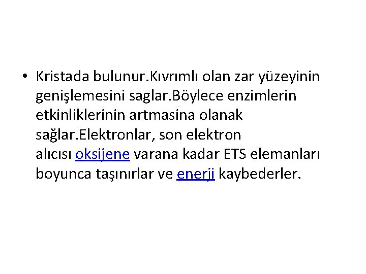  • Kristada bulunur. Kıvrımlı olan zar yüzeyinin genişlemesini saglar. Böylece enzimlerin etkinliklerinin artmasina