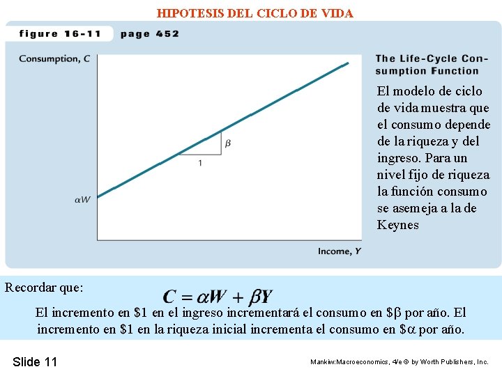 HIPOTESIS DEL CICLO DE VIDA El modelo de ciclo de vida muestra que el