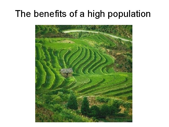 The benefits of a high population 