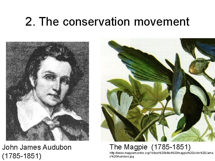 2. The conservation movement John James Audubon (1785 -1851) The Magpie (1785 -1851) http: