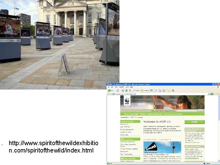 1. http: //www. spiritofthewildexhibitio n. com/spiritofthewild/index. html 1. http: //www. spiritofthewildexhibitio n. com/spiritofthewild/index. html