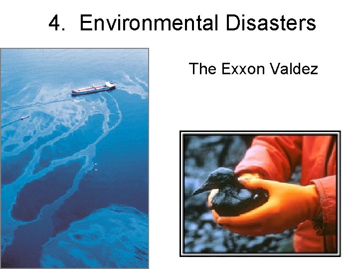 4. Environmental Disasters The Exxon Valdez 