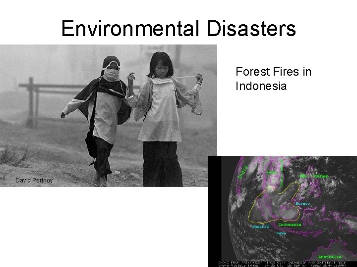 Environmental Disasters Forest Fires in Indonesia David Portnoy 