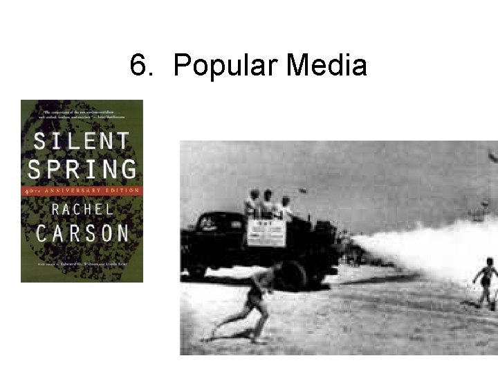 6. Popular Media 
