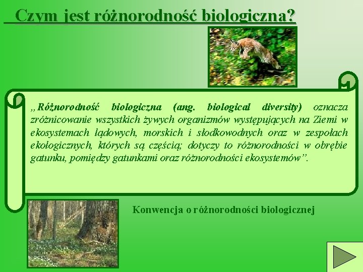 Czym jest różnorodność biologiczna? „Różnorodność biologiczna (ang. biological diversity) oznacza zróżnicowanie wszystkich żywych organizmów