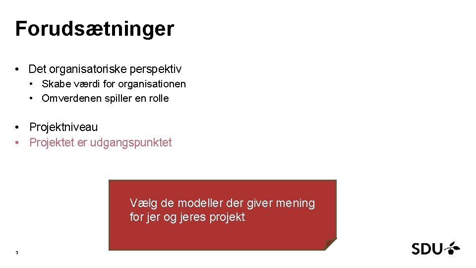 Forudsætninger • Det organisatoriske perspektiv • Skabe værdi for organisationen • Omverdenen spiller en