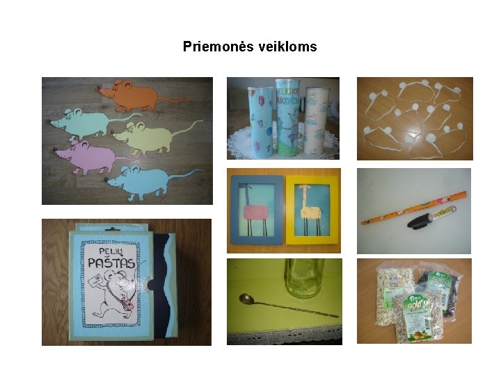 Priemonės veikloms 