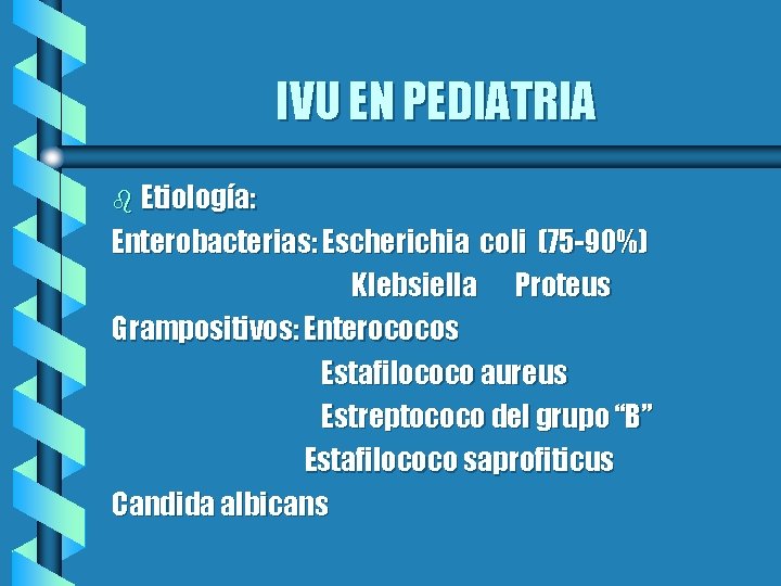 IVU EN PEDIATRIA b Etiología: Enterobacterias: Escherichia coli (75 -90%) Klebsiella Proteus Grampositivos: Enterococos