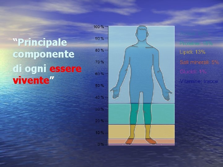 “Principale componente di ogni essere vivente” 