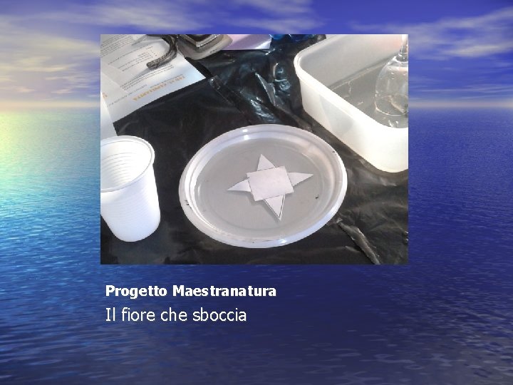 Progetto Maestranatura Il fiore che sboccia 