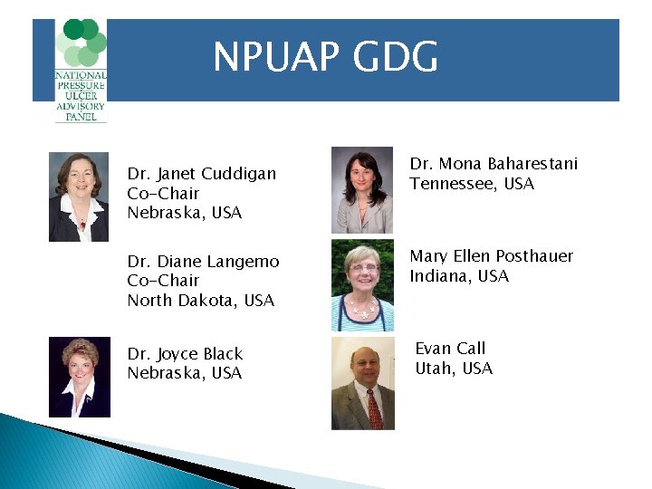 NPUAP GDG Dr. Janet Cuddigan Co-Chair Nebraska, USA Dr. Diane Langemo Co-Chair North Dakota,