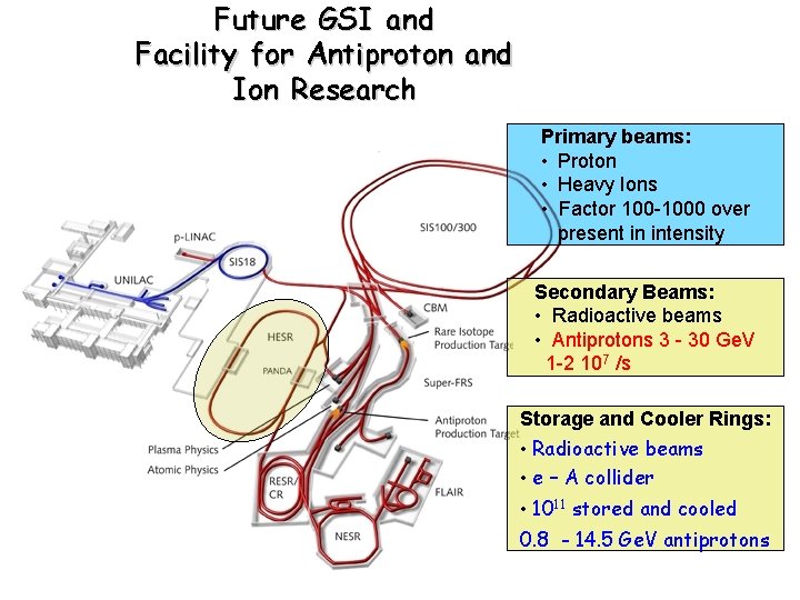 Future GSI and Facility for Antiproton and Ion Research Primary beams: • Proton •