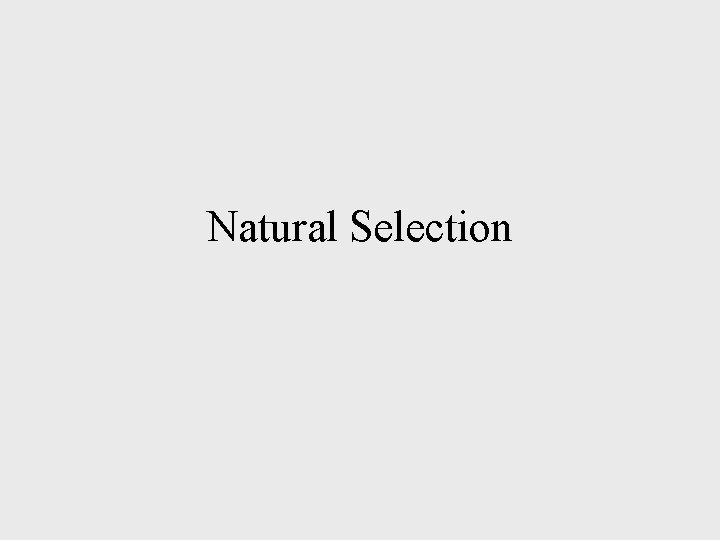 Natural Selection 