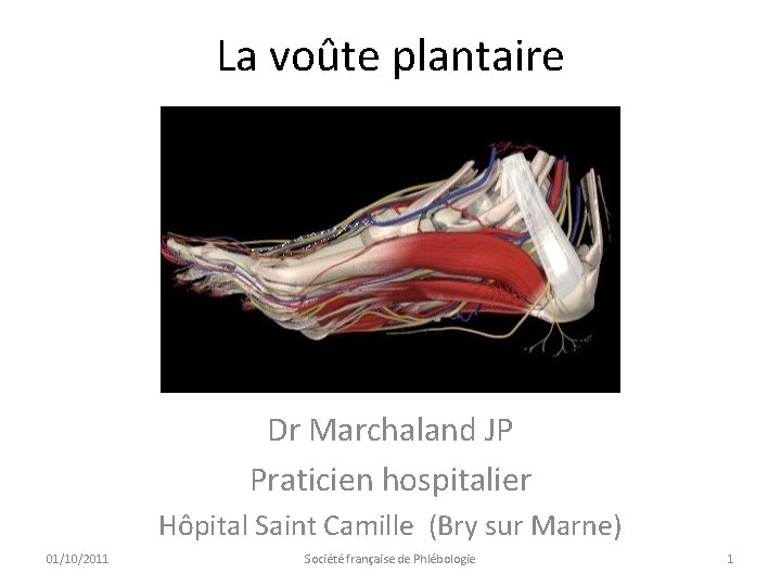 La voûte plantaire Dr Marchaland JP Praticien hospitalier Hôpital Saint Camille (Bry sur Marne)