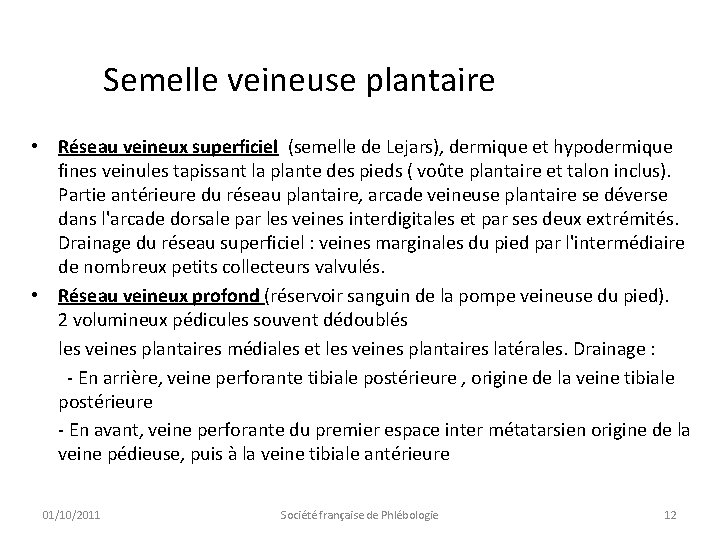 Semelle veineuse plantaire • Réseau veineux superficiel (semelle de Lejars), dermique et hypodermique fines