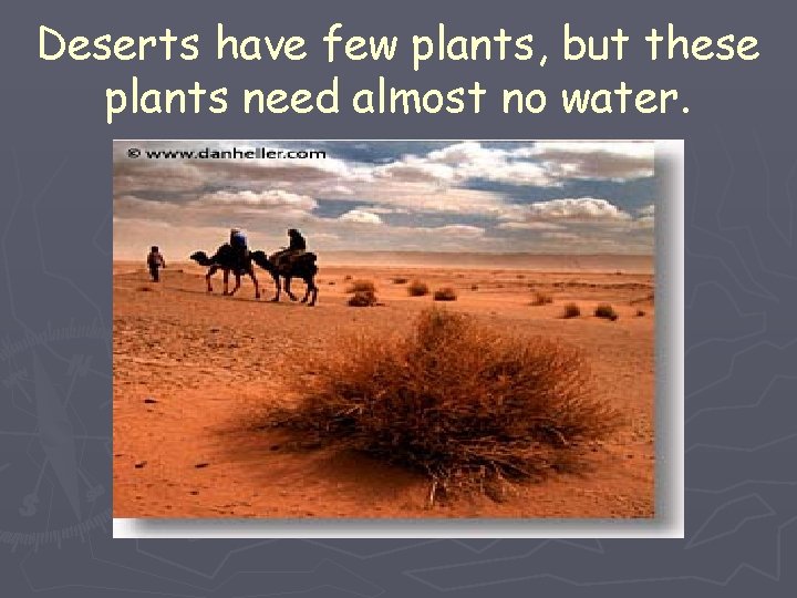 Deserts have few plants, but these plants need almost no water. 