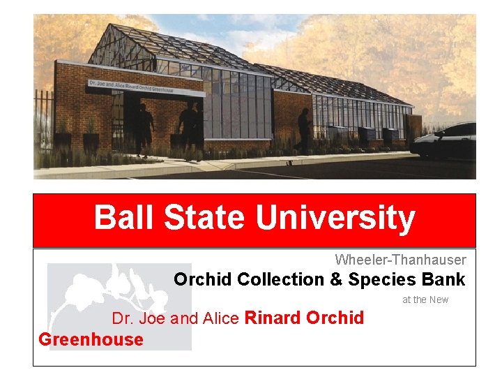 Ball State University Wheeler-Thanhauser Orchid Collection & Species Bank at the New Dr. Joe